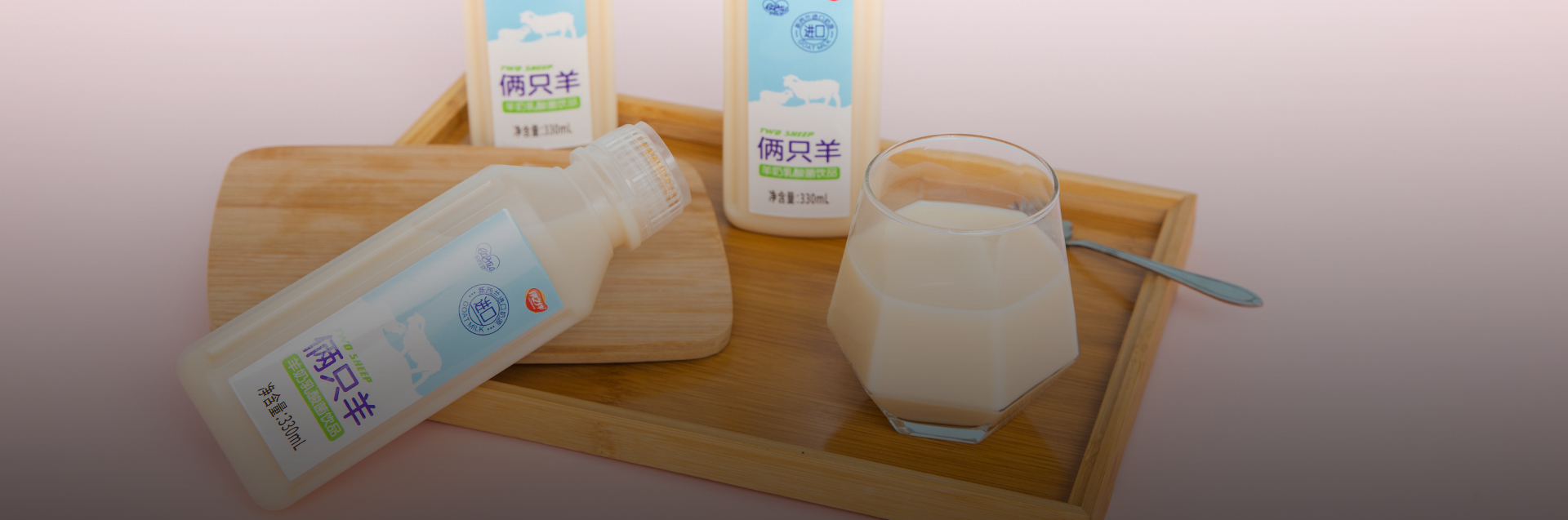 湖北乳酸菌饮品